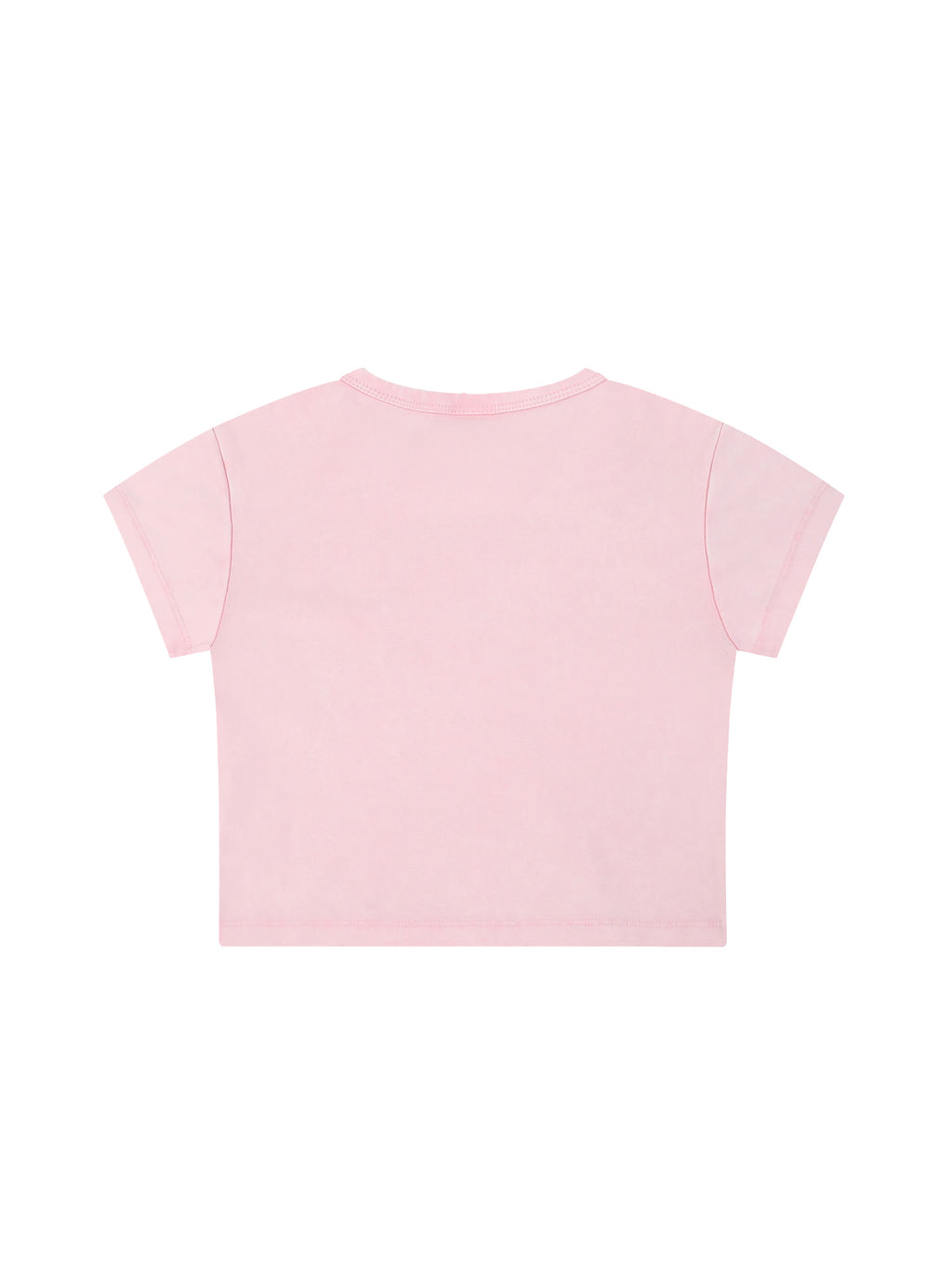 Snow Washed Crop Top